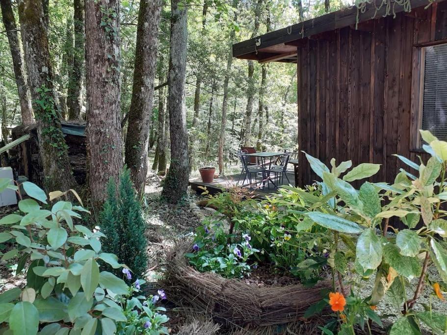 Le Gite De La Cabane De L'Oiseau Couze-et-Saint-Front エクステリア 写真