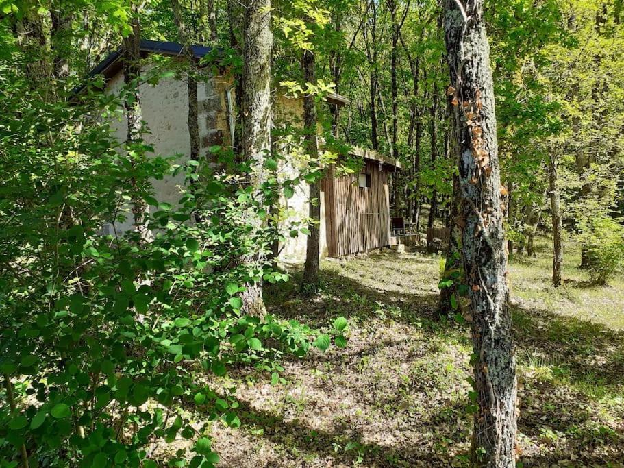 Le Gite De La Cabane De L'Oiseau Couze-et-Saint-Front エクステリア 写真